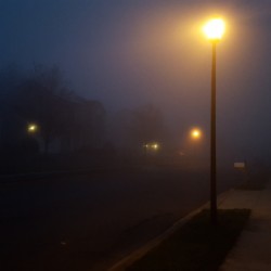 Street in Fog
