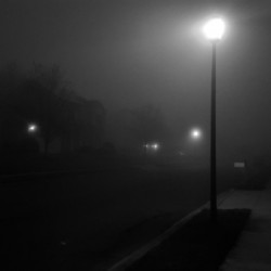 Street in Fog B&W