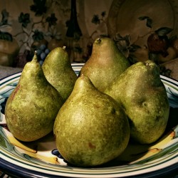 Pears Still Life