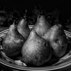 Pears  B&W