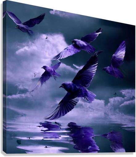 Oiseaux Canvas Print