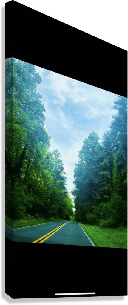 Enchanted Arboreal Journey  Canvas Print