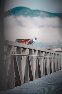 Vancouver British Columbia