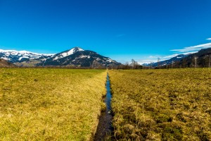 _DSC6937 by Adrian Balint