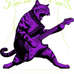 Seether 29