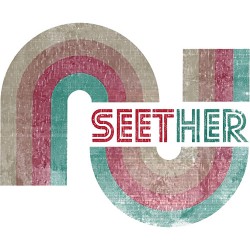 Seether 18