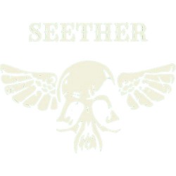 Seether 11