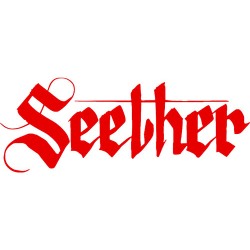 Seether 35