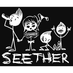 Seether 37