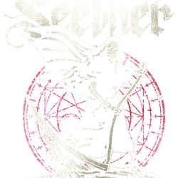 Seether 30