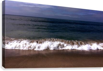 Venice Beach Canvas Print