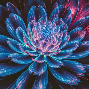 mesmerizing blooming flower