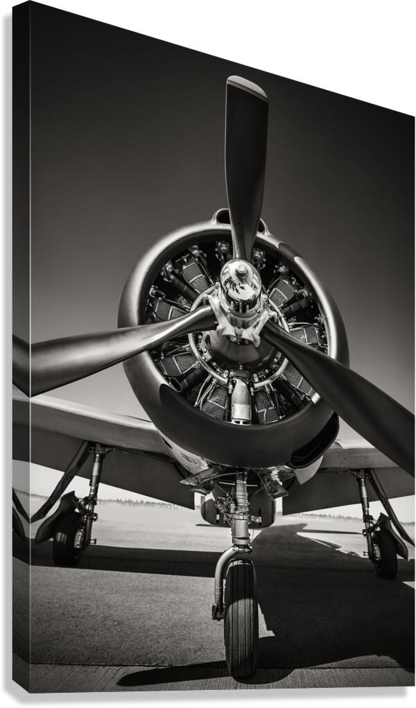 t28 trojan Canvas Print