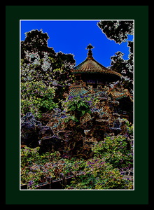 IN THE EMPERORS BACKYARD