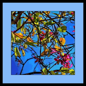 TREES 005