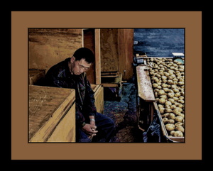 STREET VENDOR SELLING POTATOES IN SOUTH KOREA