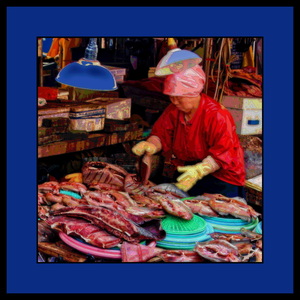 FISH MARKET IN SOUTH KOREA 02