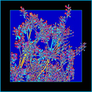 TREES 001