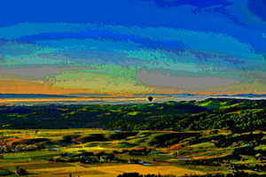 CALIFORNIA VINEYARDS 02 