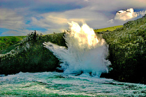 SEASCAPES COLLECTION - CHANNEL ISLANDS NATIONAL PARK 001