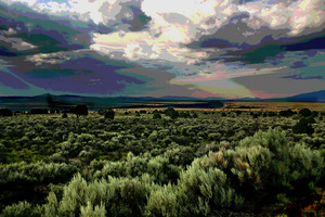 NEW MEXICO 004