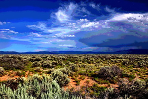 NEW MEXICO 003