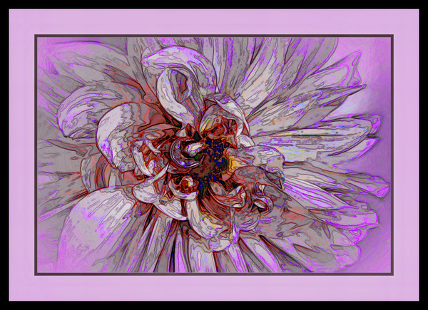 PEONY 003  Print