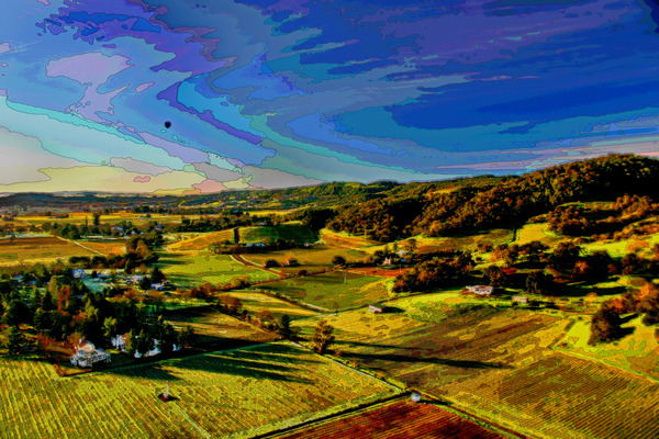  CALIFORNIA VINEYARDS 03 Print
