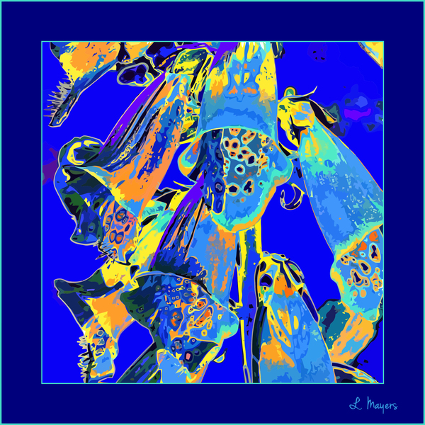 FOXGLOVES 001  Print