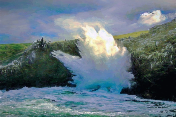 CHANNEL ISLANDS NATIONAL PARK  Print