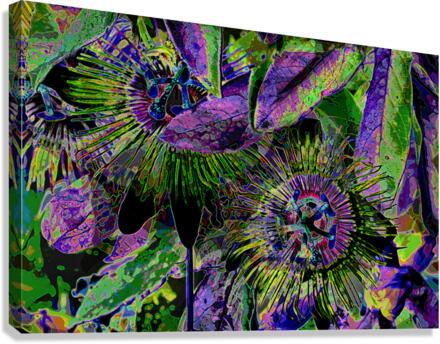PASSION FLOWERS  Canvas Print