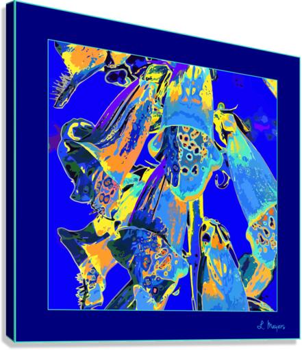 FOXGLOVES 001  Canvas Print