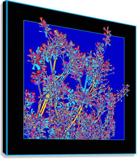 TREES 001 Canvas Print