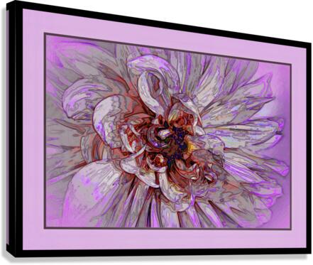 PEONY 003  Canvas Print
