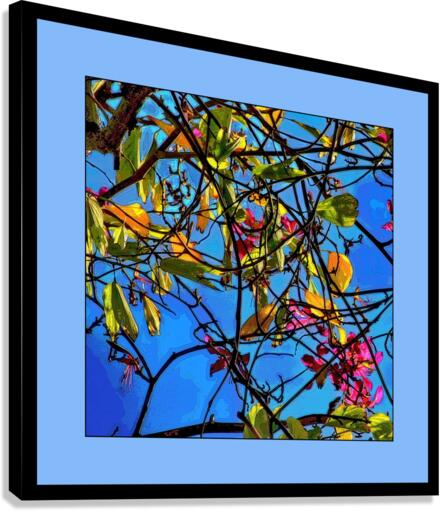 TREES 005 Canvas Print