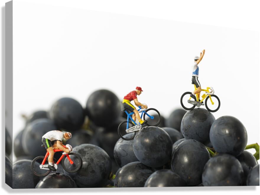 puppet cycle racing Canvas Print