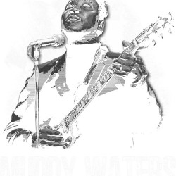 Muddy Waters 21