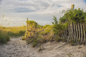 2020 July 18 BeachPath01