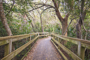 Hoop Pole Creek Trail Boardwalk Atlantic Beach NC