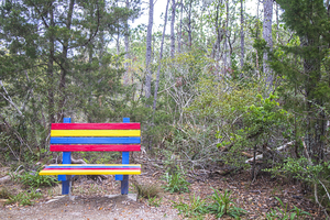 Rainbow Bench in the Croatan National Forest