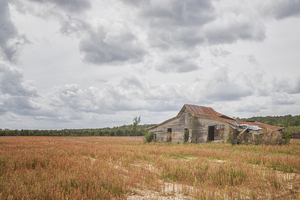 Standing Watch - OLd Barn in Ruins in Rural NC