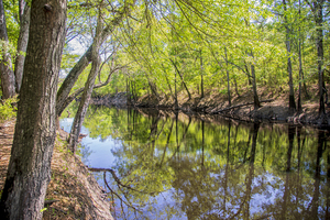 A Southern River Scene in Southeastern North Carolina