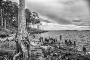 2022 Aug 19 CedarIsleShoreline01