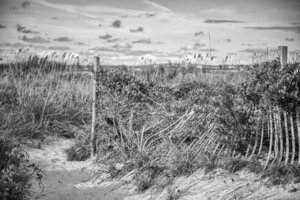 2022 Aug 30 BeachPath01