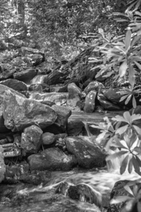 2022 June 20 NoNameFalls02