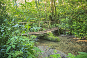 2022 June 20 RusticBridge01