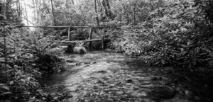 2022 June 20 RusticBridge02