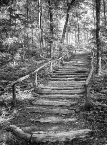 2022 June 20 TrailStairs01