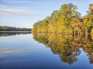 2022 Oct 20 MillPond01