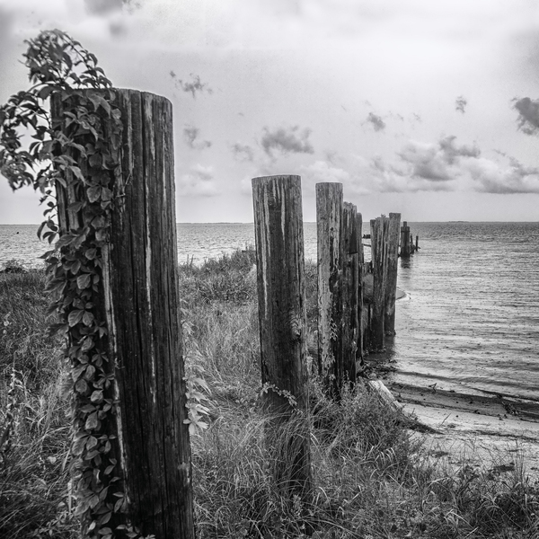 2022 Aug 19 Seawall01 Print